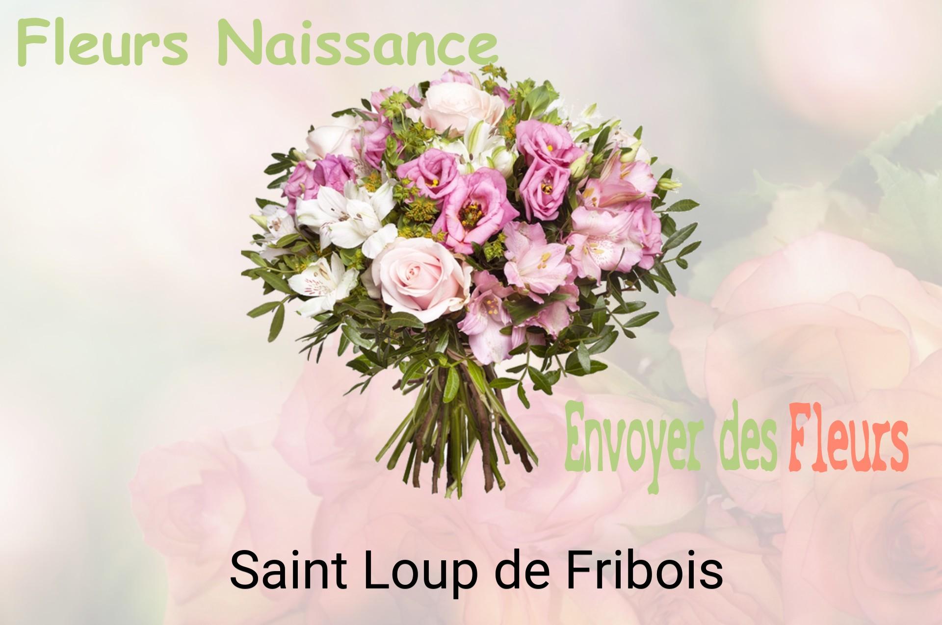 Bouquet de fleurs de naissance livré à Saint-Loup-de-Fribois
